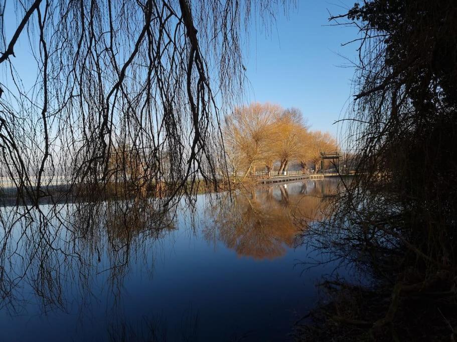 West Farm Cottage Godmanchester Экстерьер фото